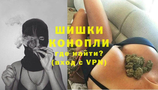 МДПВ Волоколамск