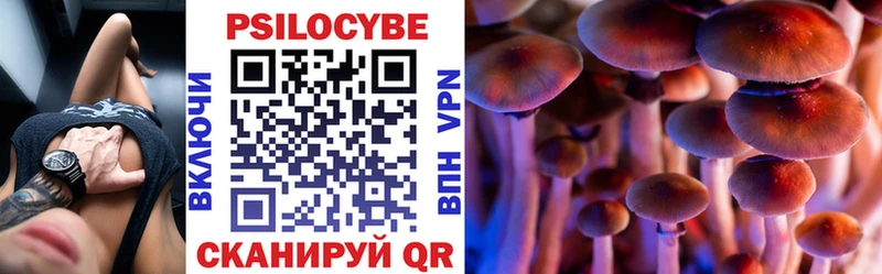 Псилоцибиновые грибы мицелий  где купить наркоту  Кадников 